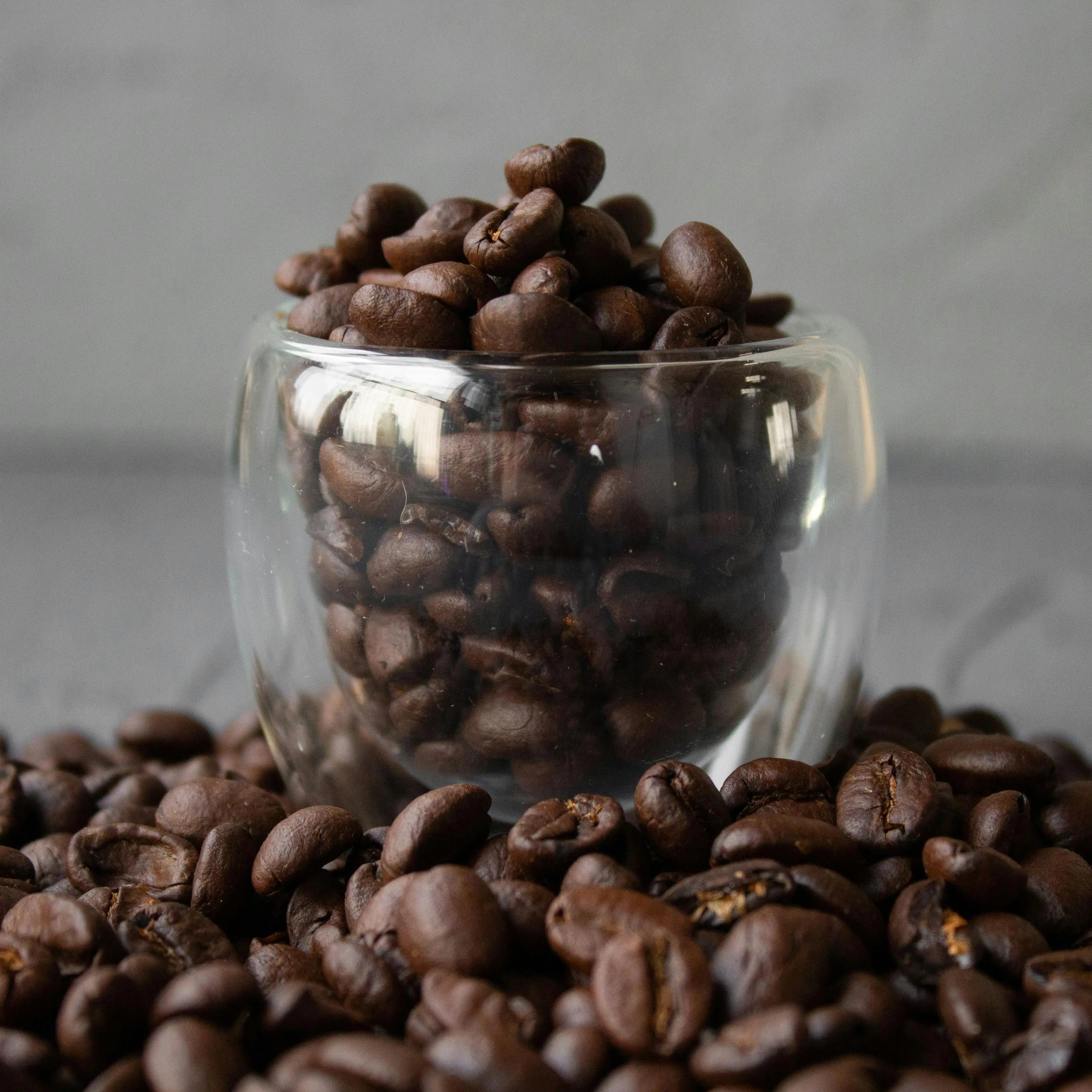 Entdecke-die-Welt-der-Kaffeebohnen-Arabica-gegen-Robusta-Welcher-Geschmack-passt-zu-dir Rheinland.Coffee