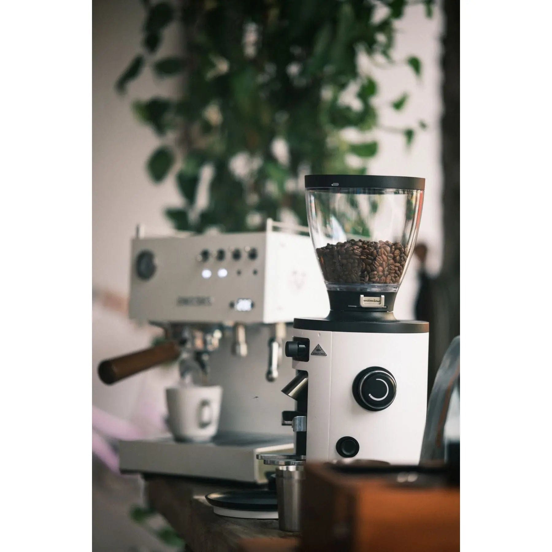 Mahlkönig X54 Haushaltsmühle - verschiedene Farben Kaffeemühlen Mahlkönig - Rheinland.Coffee