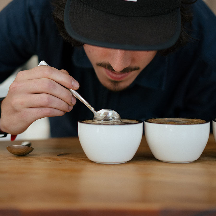 Rhino Coffee Gear Cupping Bowl - Tasting Cup Tasting Cup Rhinowares - Rheinland.Coffee