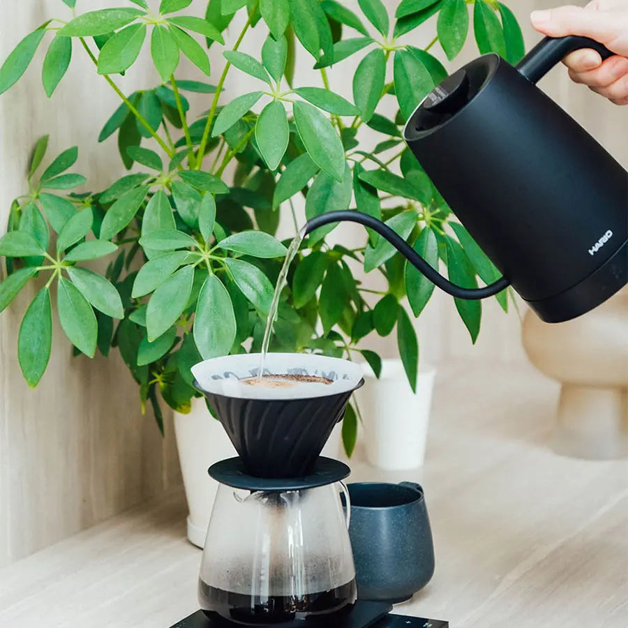 Aufguss mit dem Hario Lyra in einen V60-Handfilter